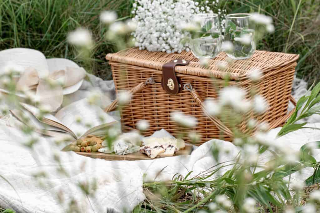 Outdoor Picnic Activity